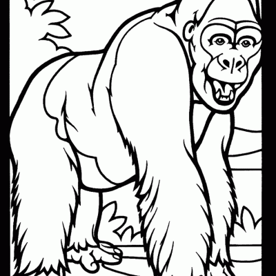 Ourcoloringpage Gorillas 8