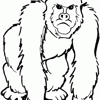 Ourcoloringpage Gorillas 9
