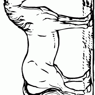 Ourcoloringpage Horses 13