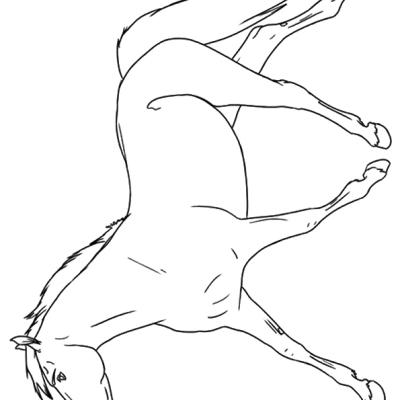 Ourcoloringpage Horses 26