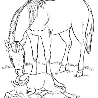 Ourcoloringpage Horses 30