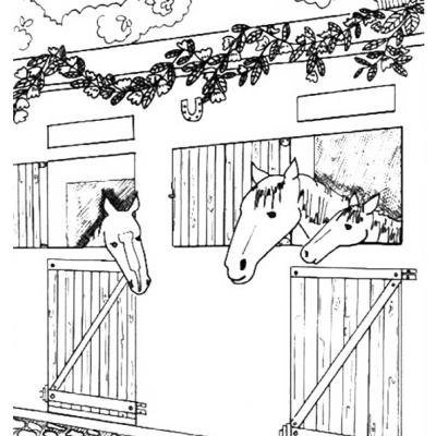 Ourcoloringpage Horses 35