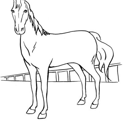 Ourcoloringpage Horses 38