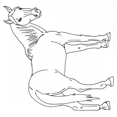 Ourcoloringpage Horses 39