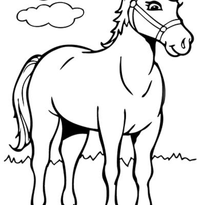 Ourcoloringpage Horses 42