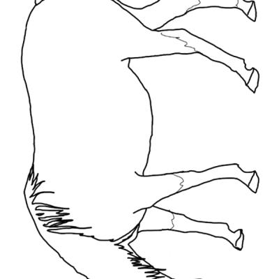 Ourcoloringpage Horses 43