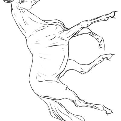 Ourcoloringpage Horses 5