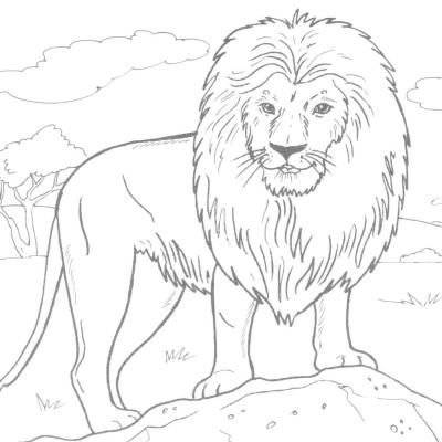Ourcoloringpage Lions 10