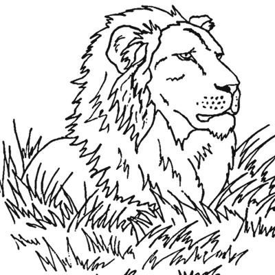 Ourcoloringpage Lions 20