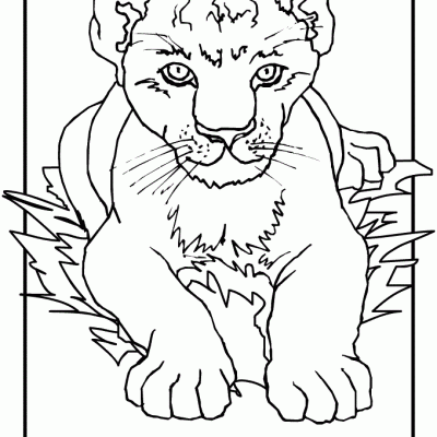 Ourcoloringpage Lions 26