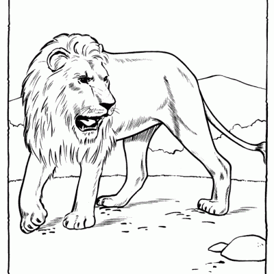 Ourcoloringpage Lions 29
