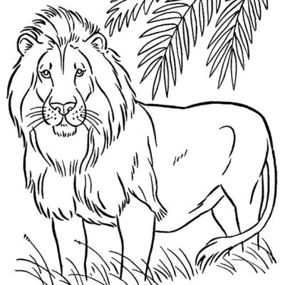Ourcoloringpage Lions 37