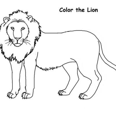 Ourcoloringpage Lions 41