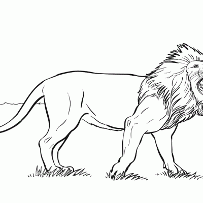 Ourcoloringpage Lions 46