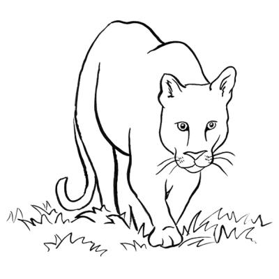 Ourcoloringpage Lions 52