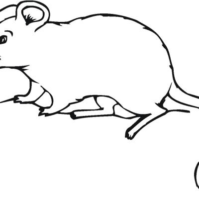 Ourcoloringpage Mouse 10
