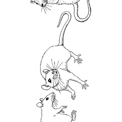 Ourcoloringpage Mouse 16