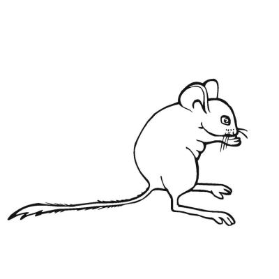Ourcoloringpage Mouse 19