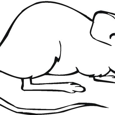 Ourcoloringpage Mouse 23