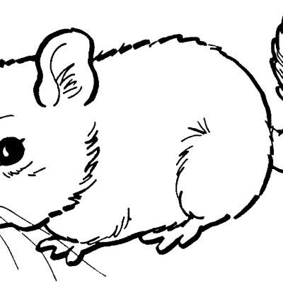 Ourcoloringpage Mouse 27