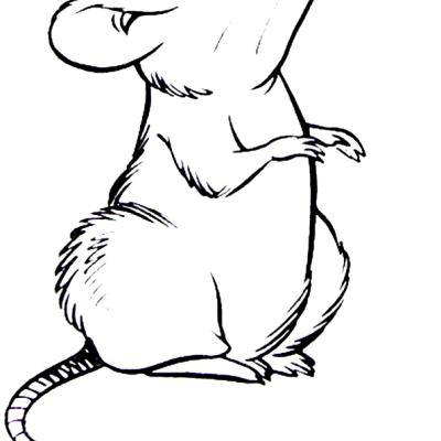 Ourcoloringpage Mouse 6