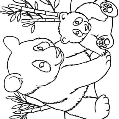 Ourcoloringpage Pandas 11