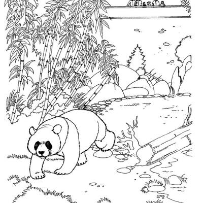 Ourcoloringpage Pandas 15
