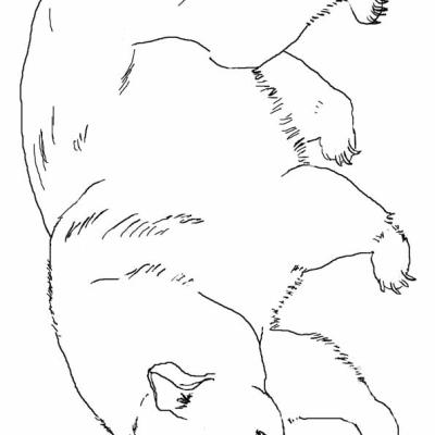 Ourcoloringpage Pandas 26