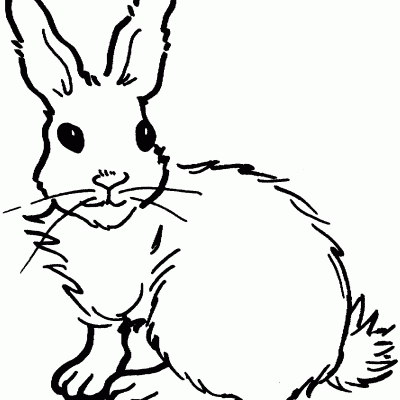 Ourcoloringpage Rabbits 11