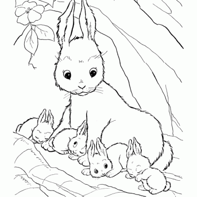Ourcoloringpage Rabbits 13