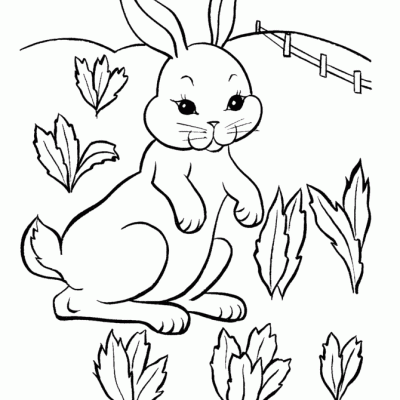 Ourcoloringpage Rabbits 16