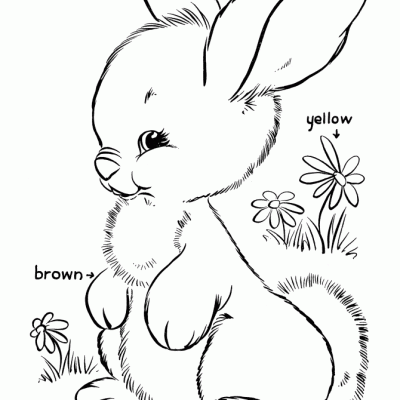 Ourcoloringpage Rabbits 17
