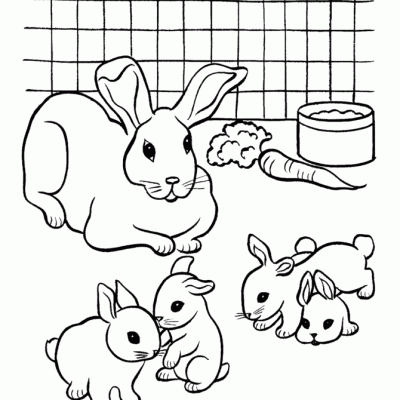 Ourcoloringpage Rabbits 31