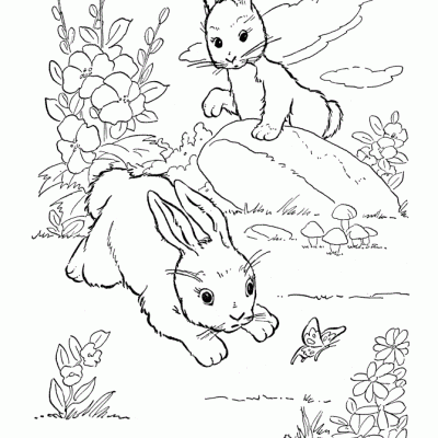 Ourcoloringpage Rabbits 32