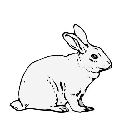 Ourcoloringpage Rabbits 34