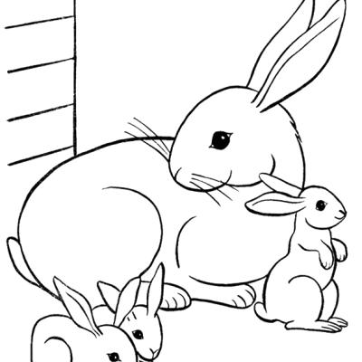 Ourcoloringpage Rabbits 36