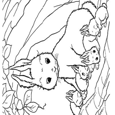 Ourcoloringpage Rabbits 39