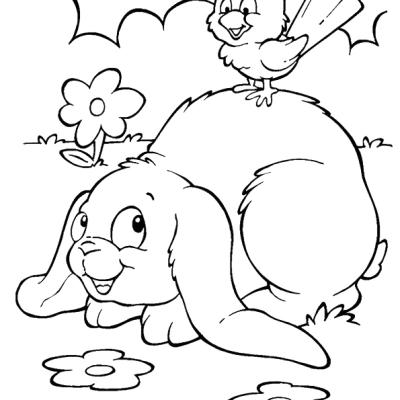 Ourcoloringpage Rabbits 43