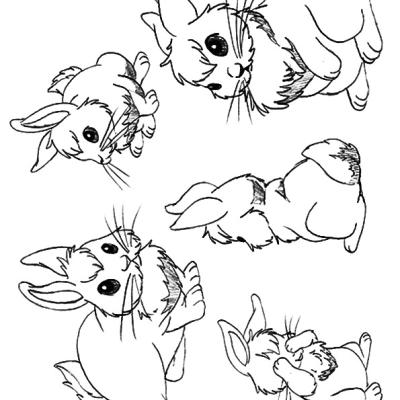 Ourcoloringpage Rabbits 44
