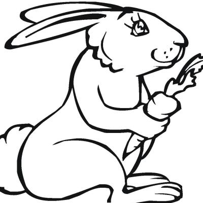 Ourcoloringpage Rabbits 46