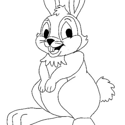 Ourcoloringpage Rabbits 47