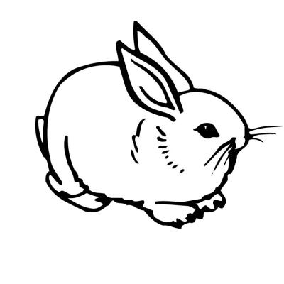 Ourcoloringpage Rabbits 49