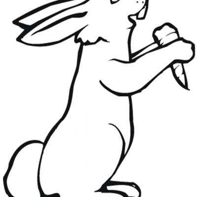 Ourcoloringpage Rabbits 50