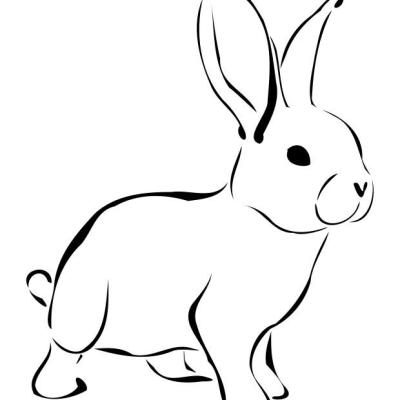 Ourcoloringpage Rabbits 51