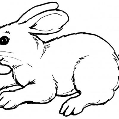 Ourcoloringpage Rabbits 52