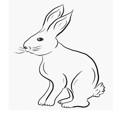 Ourcoloringpage Rabbits 54