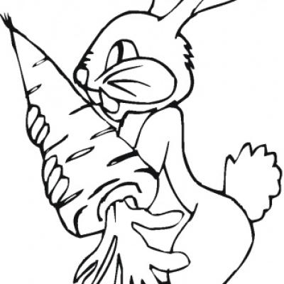 Ourcoloringpage Rabbits 57