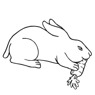 Ourcoloringpage Rabbits 58