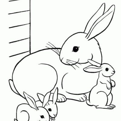 Ourcoloringpage Rabbits 8