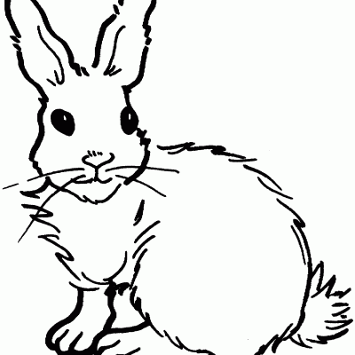 Hop into Fun with Rabbit Coloring Pages for Kids: Explore the Wonderful World of Bunnies!